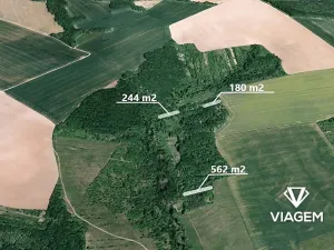 Prodej podílu lesa, Hradčovice, 985 m2