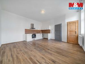 Pronájem bytu 1+kk, Plzeň - Východní Předměstí, 24 m2