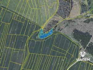 Prodej podílu lesa, Radošovice, 683 m2