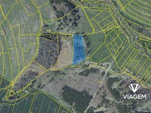 Prodej podílu lesa, Radošovice, 1094 m2