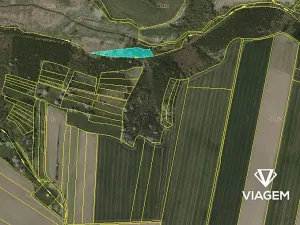 Prodej podílu lesa, Budeč, 2254 m2