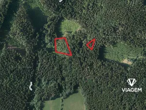 Prodej podílu lesa, Roztoky u Semil, 2737 m2