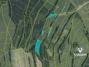 Prodej podílu lesa, Roztoky u Semil, 6000 m2
