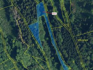 Dražba lesa, Benešov u Semil, 2958 m2