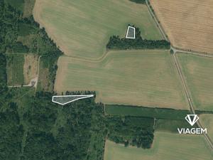 Prodej lesa, Bačice, 8463 m2