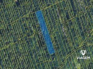 Prodej podílu lesa, Kněždub, 3060 m2