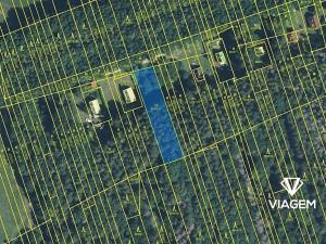 Prodej podílu lesa, Kněždub, 3060 m2