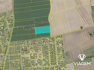 Prodej podílu pole, Sibřina, 3856 m2