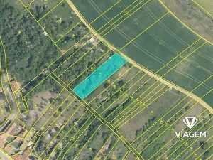 Prodej podílu zahrady, Mouřínov, 785 m2