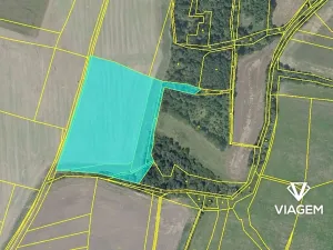Prodej pole, Kouřim, 23681 m2