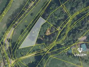 Prodej podílu lesa, Kněžmost, 1570 m2