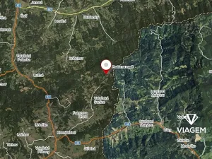 Prodej podílu lesa, Valašská Senice, 4990 m2