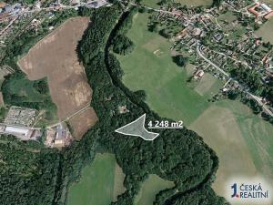 Prodej zahrady, Dvory nad Lužnicí, 4248 m2