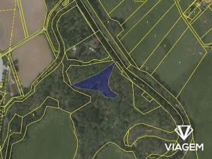 Prodej zahrady, Dvory nad Lužnicí, 4248 m2