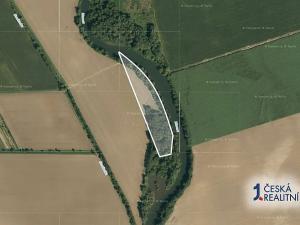 Prodej podílu pole, Kožušany-Tážaly, 2818 m2