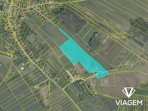 Prodej podílu pole, Jeviněves, 781 m2