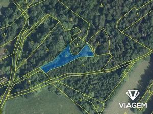 Prodej podílu lesa, Zlatá Olešnice, 569 m2