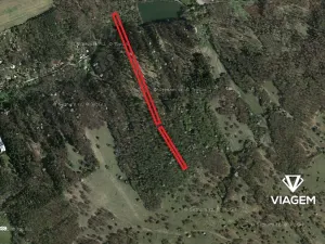 Prodej podílu lesa, Kněždub, 2335 m2