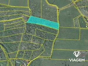 Prodej podílu zahrady, Žitenice, 6595 m2