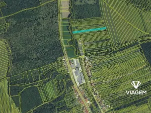 Prodej podílu lesa, Veletiny, 393 m2