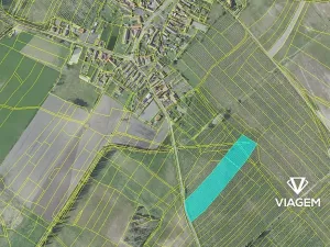 Prodej podílu zahrady, Horušice, 2981 m2