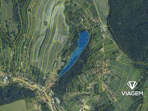 Prodej podílu lesa, Košíky, 3322 m2