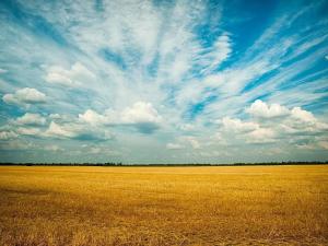 Prodej podílu pole, Chýnice, 1792 m2