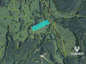 Prodej podílu pole, Javorník, 2914 m2