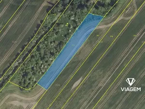 Prodej pole, Nesuchyně, 3287 m2