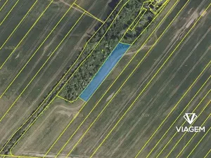 Prodej pole, Nesuchyně, 3287 m2