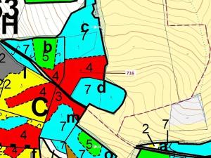 Dražba lesa, Kuřimany, 4499 m2