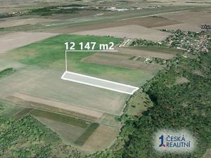 Prodej podílu pole, Máslovice, 2361 m2