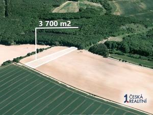 Prodej pole, Mistřice, 3700 m2