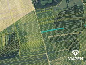 Prodej pole, Hradčovice, 5542 m2