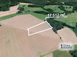 Prodej podílu pole, Pustá Kamenice, 4864 m2