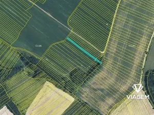 Prodej podílu pole, Mistřice, 446 m2