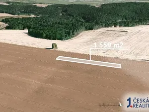 Prodej podílu pole, Prštice, 779 m2