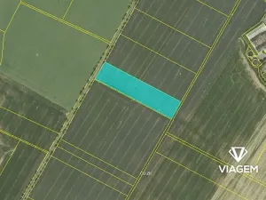 Prodej podílu pole, Bezděčí u Trnávky, 1537 m2