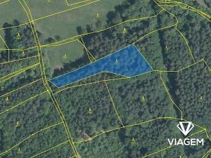 Prodej podílu lesa, Luhačovice, 2090 m2