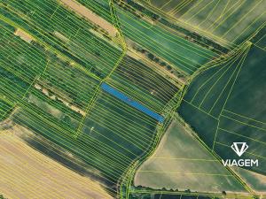 Prodej podílu pole, Klobouky u Brna, 1160 m2