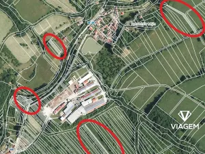 Prodej podílu zahrady, Javorník, 1037 m2