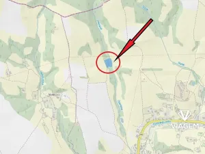 Prodej lesa, Košťálov, 4449 m2