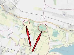 Prodej lesa, Kravaře, 7842 m2