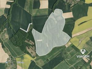 Prodej podílu lesa, Křenovice, 16746 m2