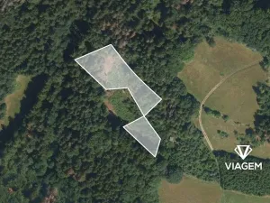 Prodej lesa, Železný Brod, 1564 m2