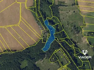 Prodej podílu lesa, Vilémov, 430 m2