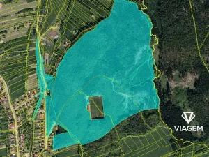 Prodej podílu lesa, Šanov, 2700 m2