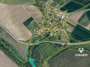 Prodej podílu lesa, Horní Řepčice, 3511 m2