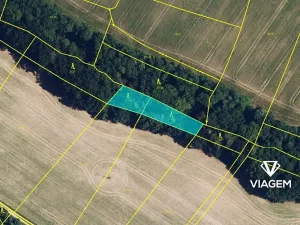 Prodej podílu lesa, Bouzov, 642 m2