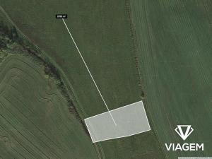 Prodej pole, Nová Říše, 2895 m2